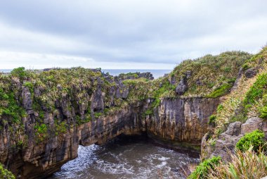 Krep Kayaları. Taş asmak. Paparoa Ulusal Parkı, Güney Adası, Yeni Zelanda
