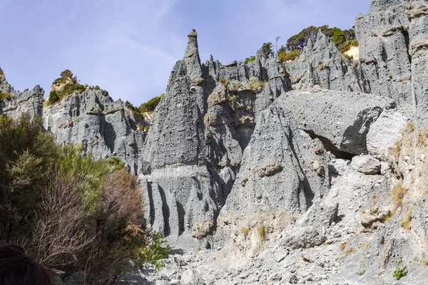 Constructor Naturaleza Maravillas Nueva Zelanda Isla Norte — Foto de Stock