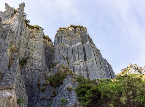 Naturaleza Gran Constructor Maravillas Nueva Zelanda Belleza Isla Norte — Foto de Stock