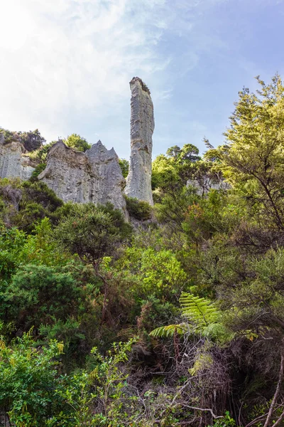 Рок Палець Порушення Putangirua Pinnacles Північний Острів Нова Зеландія — стокове фото