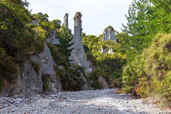 Краса Природи Долина Нової Зеландії Putangirua Pinnacles Північний Острів — стокове фото