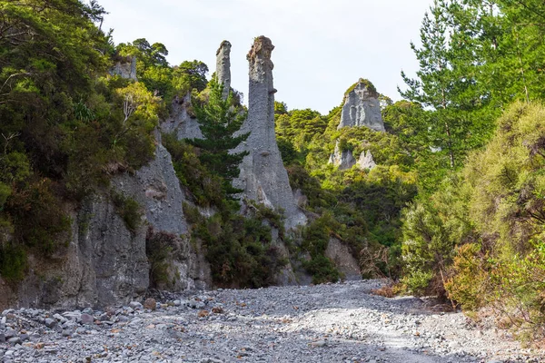 Пейзажі Putangirua Pinnacles Північний Острів Нова Зеландія — стокове фото