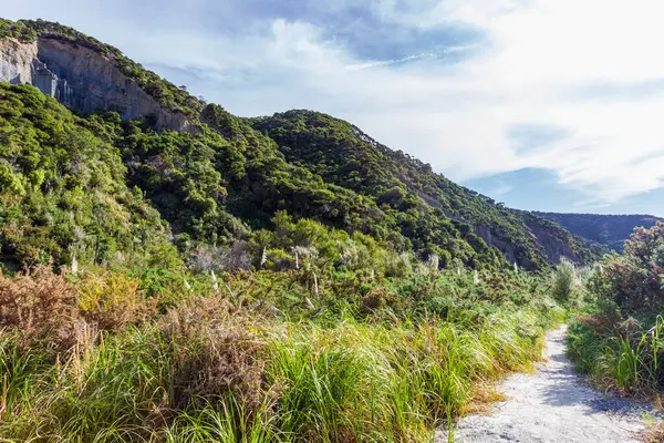 Groen Uitzicht Putangirua Pinnacles North Island Nieuw Zeeland — Stockfoto