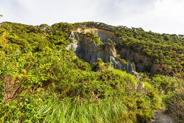 Acantilados Empinados North Island Putangirua Pinnacles Nueva Zelanda — Foto de Stock