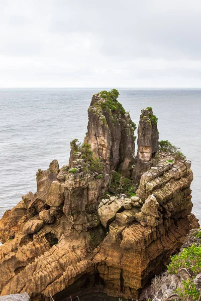 Panqueca Rocks Cliffs Paparoa National Park South Island Nova Zelândia — Fotografia de Stock