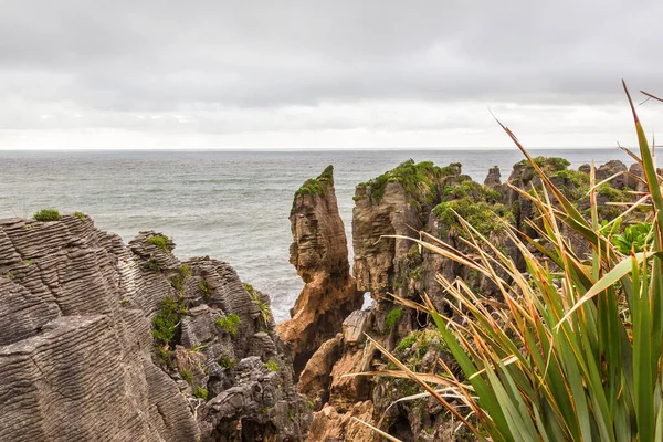 パンケーキ ロック パパロア国立公園の風景 ニュージーランド — ストック写真