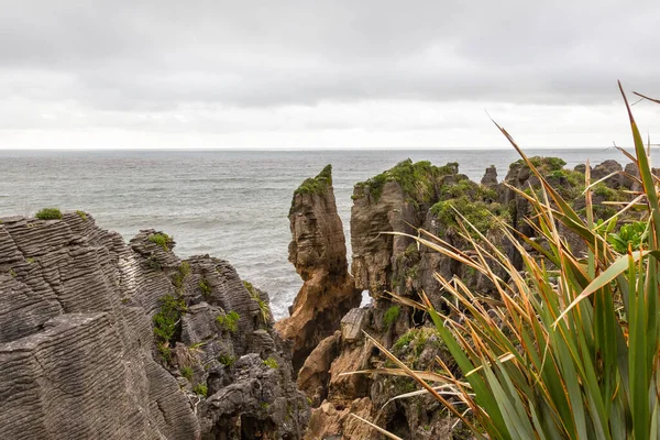 Блинчики Каменные Фигуры Национальный Парк Папароа Южный Остров Новая Зеландия — стоковое фото
