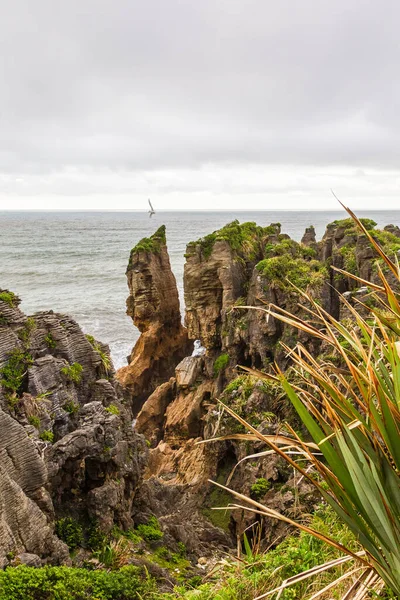 Живописное Побережье Южного Острова Блинчики Национальный Парк Папароа Новая Зеландия — стоковое фото