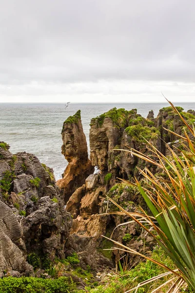 Costa Pitoresca Parque Nacional Paparoa Ilha Sul Nova Zelândia — Fotografia de Stock