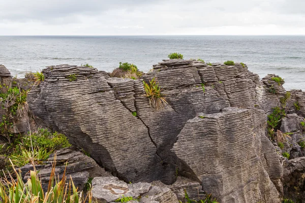 Malerische Küste Paparoa Nationalpark Südinsel Neuseeland — Stockfoto
