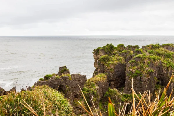 Felsige Küste Paparoa Nationalpark Südinsel Neuseeland — Stockfoto