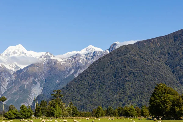 Zuidelijke Alpen Van Nieuw Zeeland Zuidereiland — Stockfoto