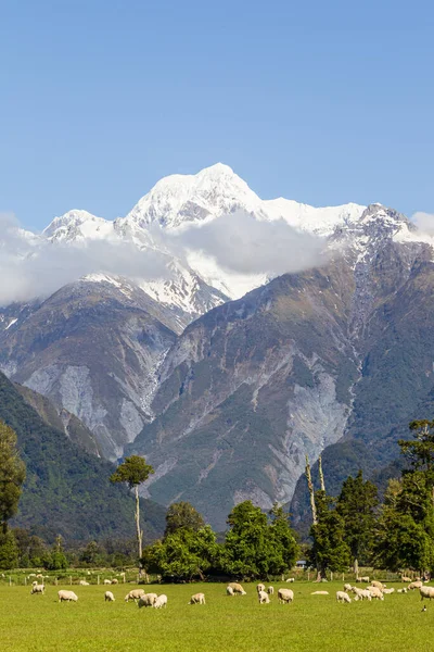 Landschappen Van South Island Nieuw Zeeland Zuidelijke Alpen Mount Cook Rechtenvrije Stockafbeeldingen