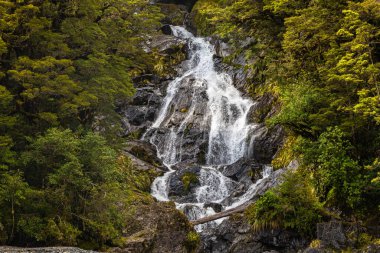 Yeşillikler arasında küçük şelaleli bir manzara. Güney Adası, Yeni Zelanda