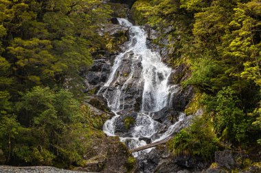 Yeşillikler arasında bir şelale. Güney Adası, Yeni Zelanda