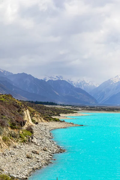Pukaki Gölü kıyısı. Güney Adası, Yeni Zelanda