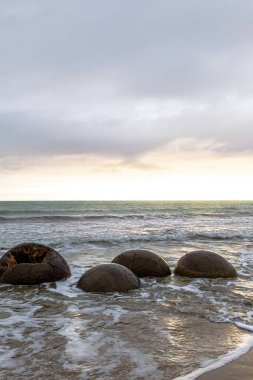 Pasifik kıyısındaki Moeraki 'nin devasa yuvarlak kayaları. Güney Adası, Yeni Zelanda