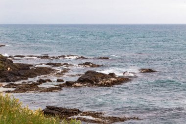 Katiki Point yakınlarındaki Pasifik kıyılarının manzaraları. Yeni Zelanda