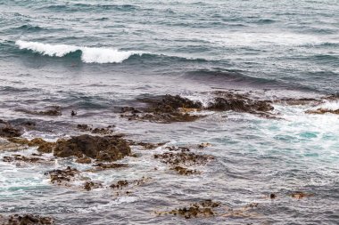 Katiki puanı. Pasifik Okyanusu 'nda küçük bir dalga, Yeni Zelanda