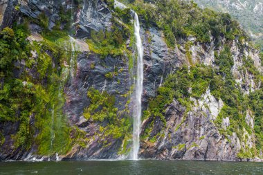 Fiordland Ulusal Parkı 'ndaki yeşil bir dağdan küçük bir şelale. Yeni Zelanda