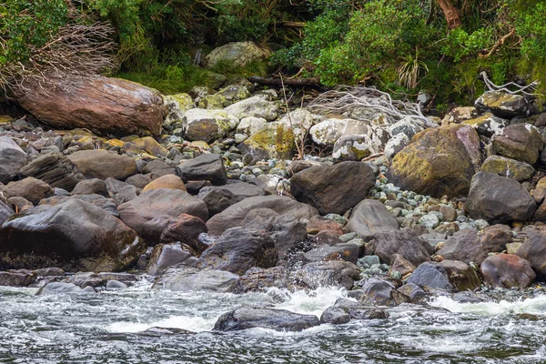 Pingüino Pico Grueso Entre Las Piedras Parque Nacional Fiordland Isla —  Fotos de Stock