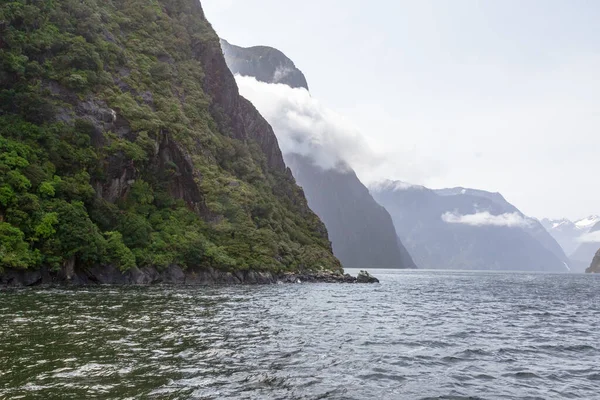 Steep Slopes Covered Greenery Banks Fjord Fiordland National Park New — Stock Photo, Image