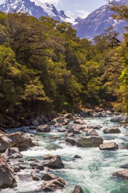 Yeşilliklerin arasında Rapid River. Yeni Zelanda