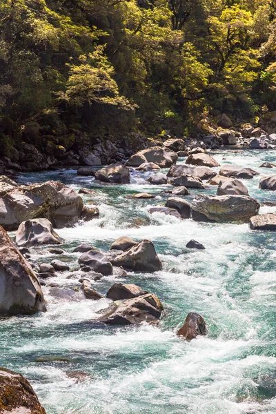 Parc National Fiordland Une Rivière Orageuse Rapide Sous Couvert Une — Photo