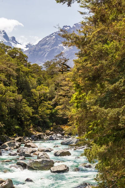 Parque Nacional Fiordland Rio Azul Turquesa Tempestuoso Entre Vegetação Ilha — Fotografia de Stock