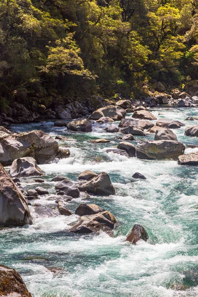 Parc National Fiordland Rivière Turquoise Orageuse Milieu Forêt Verte Île — Photo