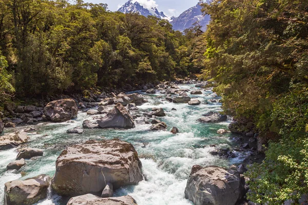 Nationaal Park Fiordland Stormachtige Turquoise Rivier Tussen Het Groen South Rechtenvrije Stockfoto's
