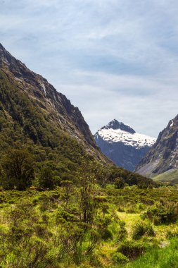 Te Anau yolu üzerindeki karlı dağlarla tepeler arasında bir vadi. Yeni Zelanda