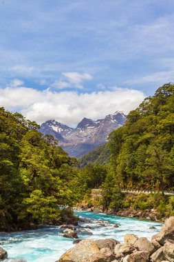 Pop 's View' ın yakınındaki hızlı nehir manzaralı bir yer. İtfaiye. Güney Adası, Yeni Zelanda
