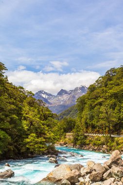 Dağların arka planında hızlı bir nehir manzarası. Fiordline Ulusal Parkı. Yeni Zelanda