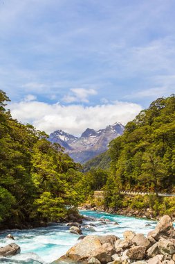 Dağların arka planında hızlı bir nehir manzarası. Fiordline Ulusal Parkı. Güney Adası, Yeni Zelanda