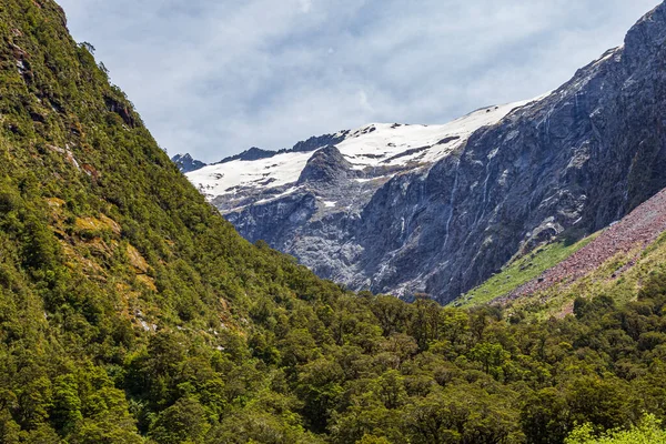 Leśna Dolina Pomiędzy Śnieżnymi Górami Wzgórzami Nowa Zelandia — Zdjęcie stockowe