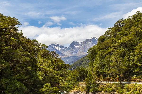 Krajobraz Burzliwą Rzeką Pobliżu Pop View Park Narodowy Fiordland Wyspa — Zdjęcie stockowe