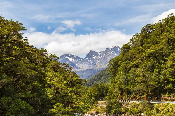 Krajobraz Szybką Rzeką Pobliżu Pop View Lookout Park Narodowy Fiordland — Zdjęcie stockowe