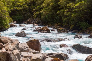 Pop 's View yakınlarında hızlı bir nehir. İtfaiye milli parkı. Güney Adası, Yeni Zelanda