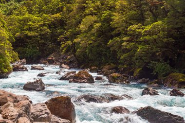 Pop 's View yakınlarında çok hızlı bir nehir. İtfaiye milli parkı. Güney Adası, Yeni Zelanda