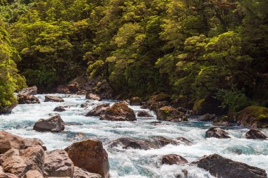 Pop 's View yakınlarında hızlı bir nehir. İtfaiye milli parkı. Yeni Zelanda