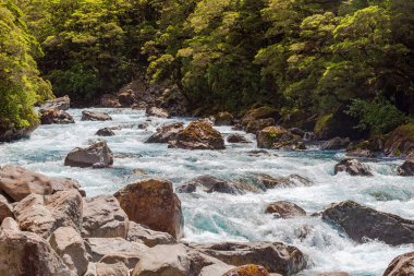 Pop 's View yakınlarında hızlı bir nehir. İtfaiye. Yeni Zelanda