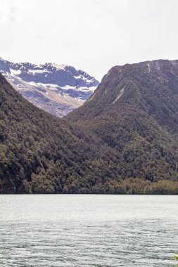 Gunn Gölü. Güney Adası 'nın güzel gölleri. Yeni Zelanda