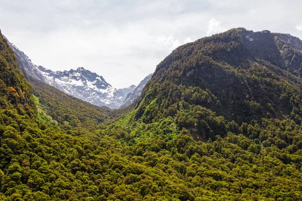 Landschappen Van Fiordland National Park Een Rivier Het Midden Van — Stockfoto