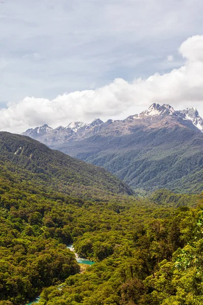 Landschaften Des Fiordland Nationalparks Ein Fluss Inmitten Eines Dichten Waldes — Stockfoto