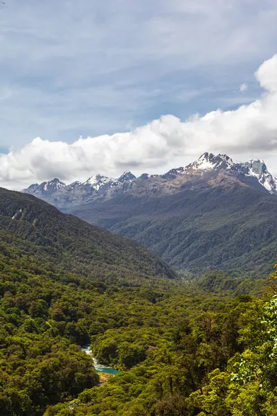 Landschappen Van Het Zuidereiland Nationaal Park Fiordland Rivier Tussen Het — Stockfoto