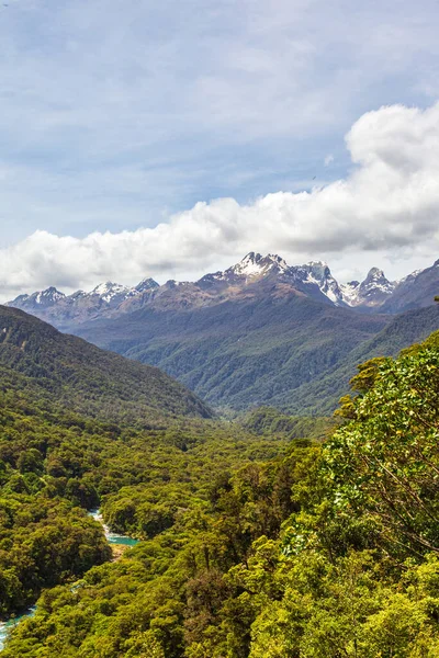 Paisagens Ilha Sul Parque Nacional Fiordland Rio Meio Uma Floresta — Fotografia de Stock