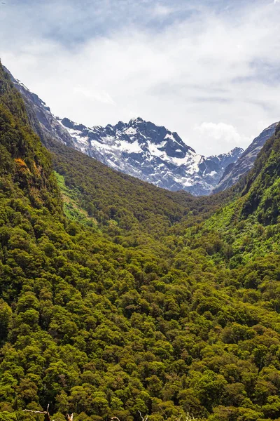 Landscapes of the South Island. Fiordland National Park. A river in the middle of a dense forest below. South Island, New Zealand