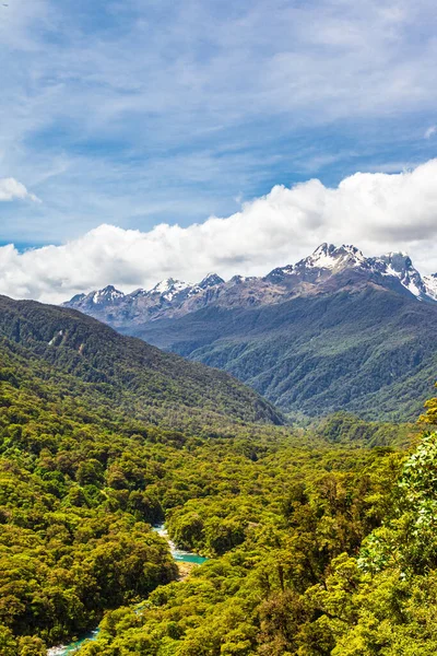 Tájképek Déli Szigetről Fiordland Nemzeti Park Kilátás Hófödte Hegyekre Sűrű — Stock Fotó