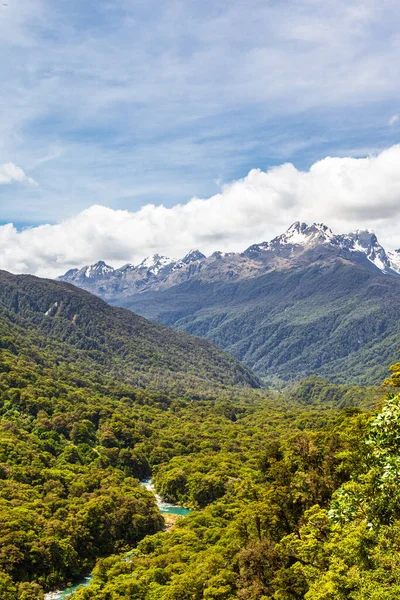 Landschappen Van Het Zuidereiland Nationaal Park Fiordland Uitzicht Besneeuwde Bergen — Stockfoto